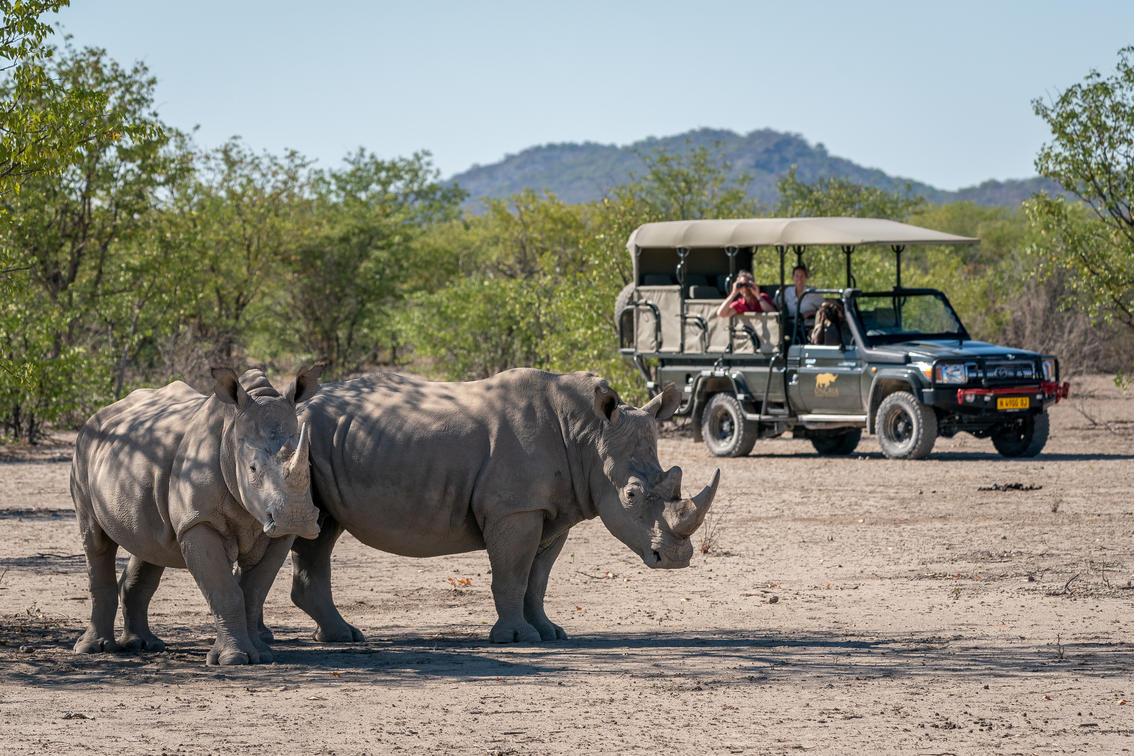 Ongava Game Reserve-Anderssons-at-Ongava Sighting rhinos on an sustainable safari game drive