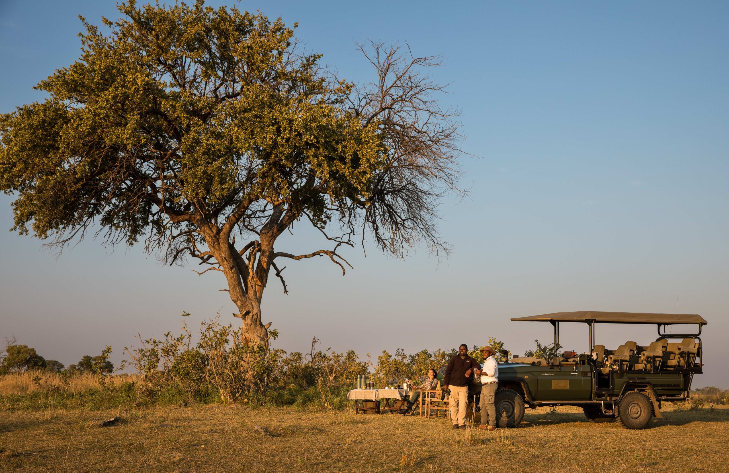 Two men standing in front of a safari vehicle parked in the wild by a large tree, alongside a table with refreshments where a woman is sitting admiring the view