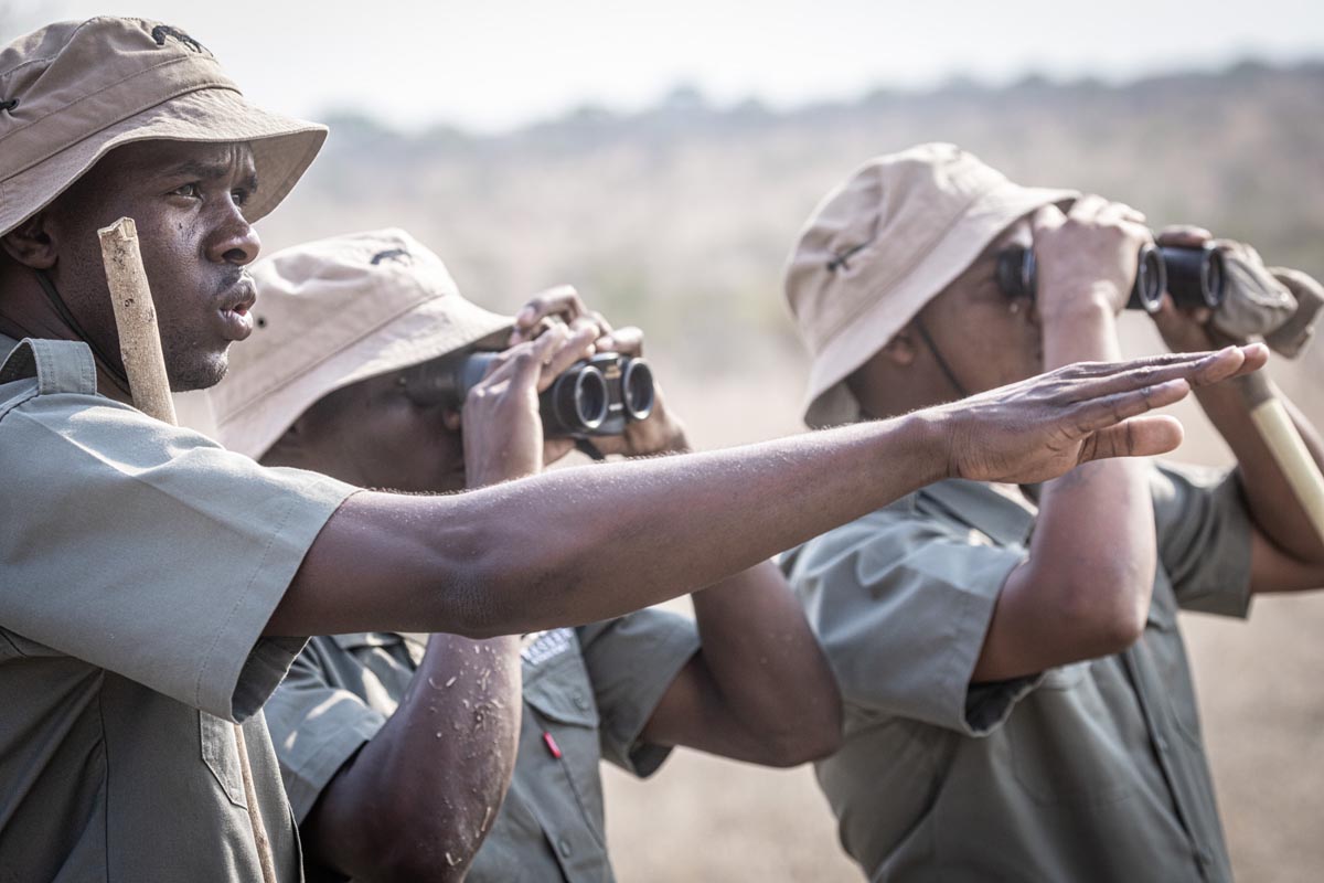 rhino-guardians-tracker-academy Tracker Academy Rhino Guardians using binoculars while surveying the landscape.