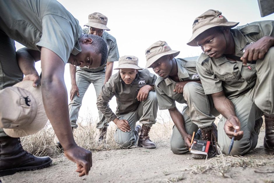 rhino-guardians-tracker-academy Rhino Guardians from the Tracker Academy closely examine tracks on the ground during a field training session.