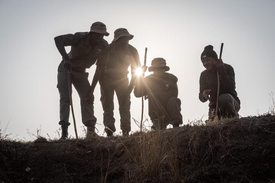 rhino-guardians-tracker-academy Rhino Guardians from the Tracker Academy stand silhouetted against the sun as they observe the landscape during field training.
