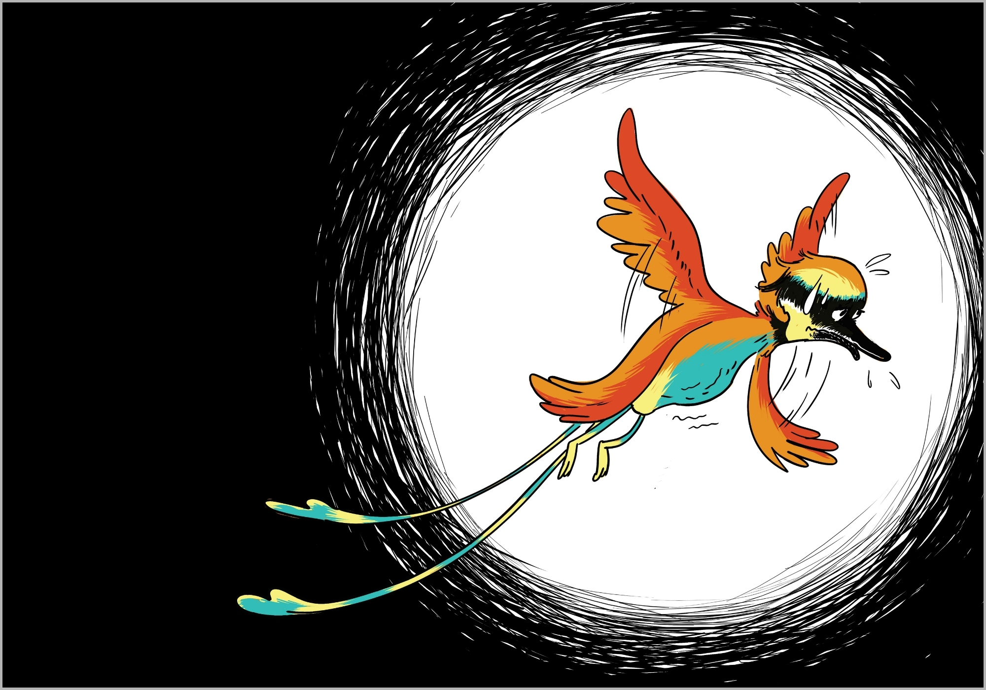 Bella-the-bee-eater-2