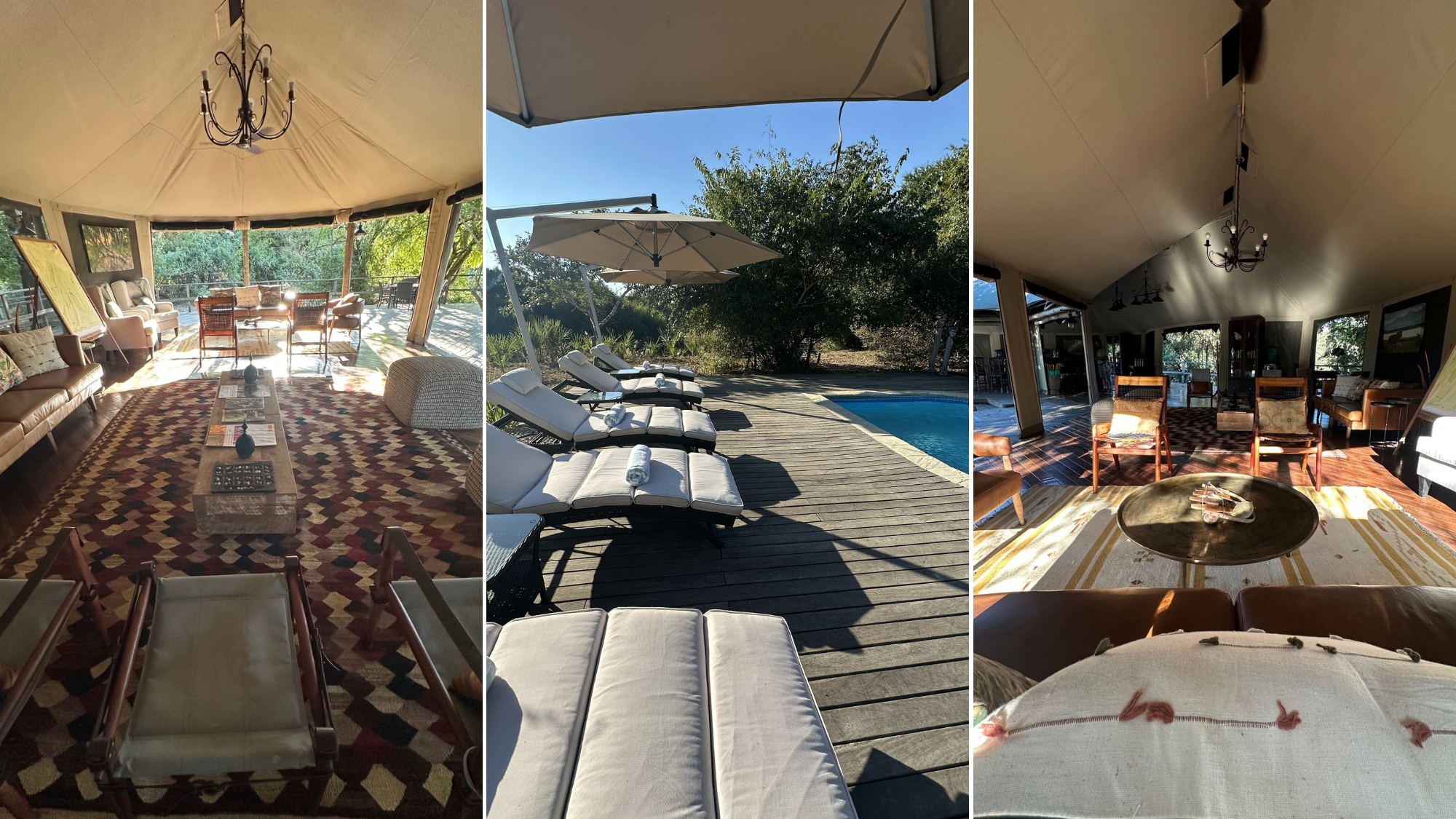Gorongosa-safari-sam-Muzimu-lodge Muzimu Lodge’s tented interiors and pool deck sit open to the surrounding trees during a Gorongosa safari.