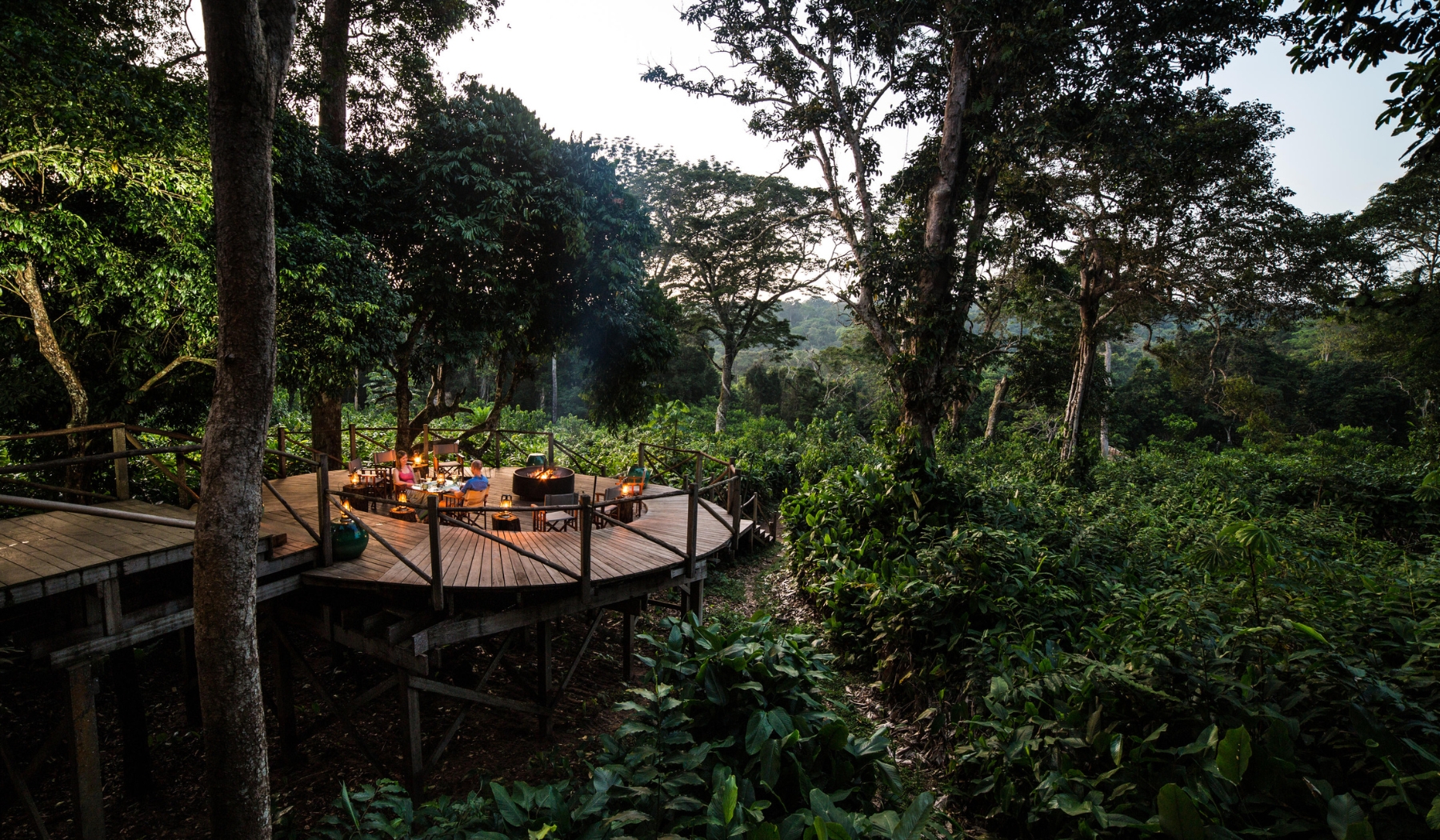 A raised wooden deck set for dinner sits deep in the rainforest canopy, offering an intimate pause in the search for where to go in 2026.