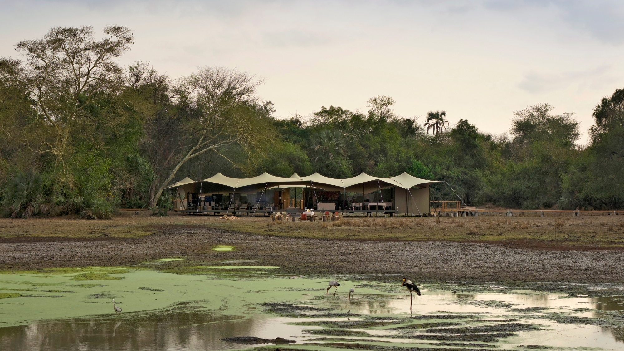 Sam-gorongosa-safari-Chicari-camp Chicari Camp sits beside a wetland filled with wading birds during a Gorongosa safari.