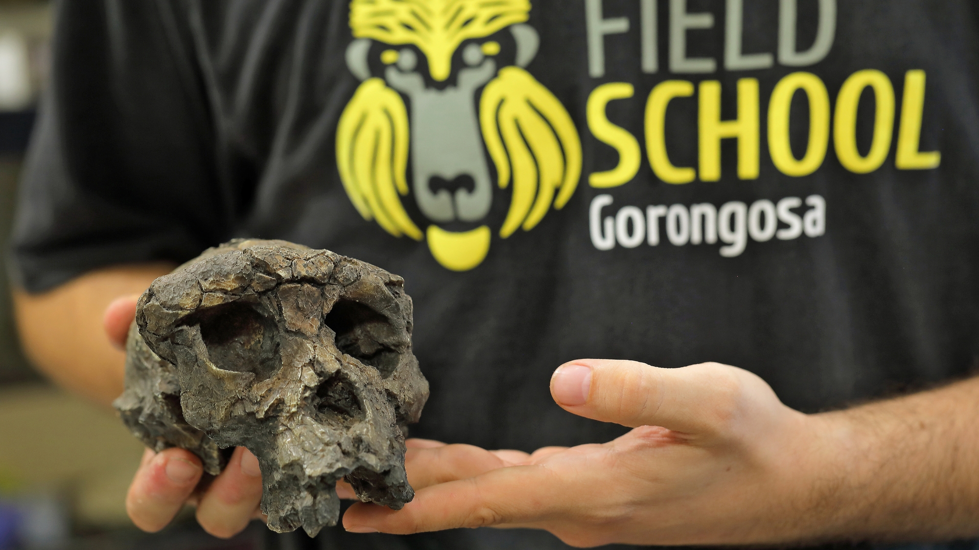 Sam-gorongosa-safari-lab-research A researcher holds an ancient hominin skull in their hands during a Gorongosa safari.