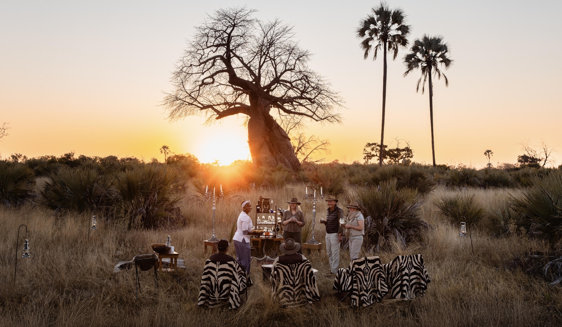 A small gathering enjoys sundowners beneath a baobab at sunset, a manifesto moment shaped by light, laughter, and wide-open wilderness.