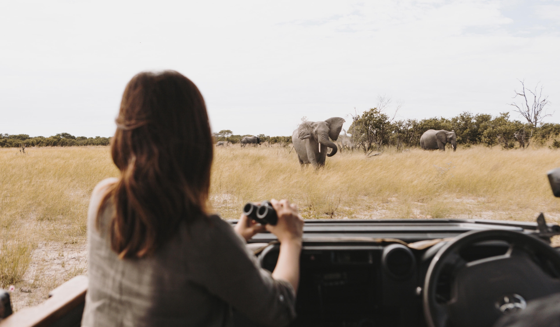 A traveller watches a herd of elephants from a safari vehicle, capturing a manifesto experience shaped by stillness and open space.