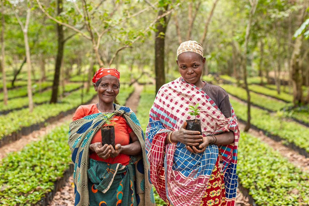 1752755288844_GORONGOSA-SAFARIS---Activities-&-Experiences---Coffee-Plantation---Smiling-community-members-holding-coffee-seedlings Two women stand among neat rows of young plants, each holding a coffee seedling that represents shared stewardship and opportunity created by the impact in Gorongosa.