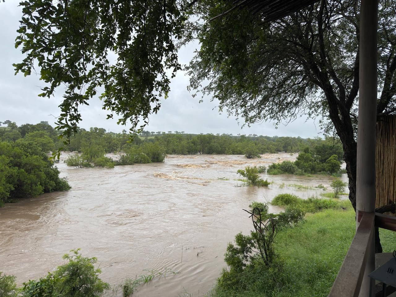 The Greater Kruger floods