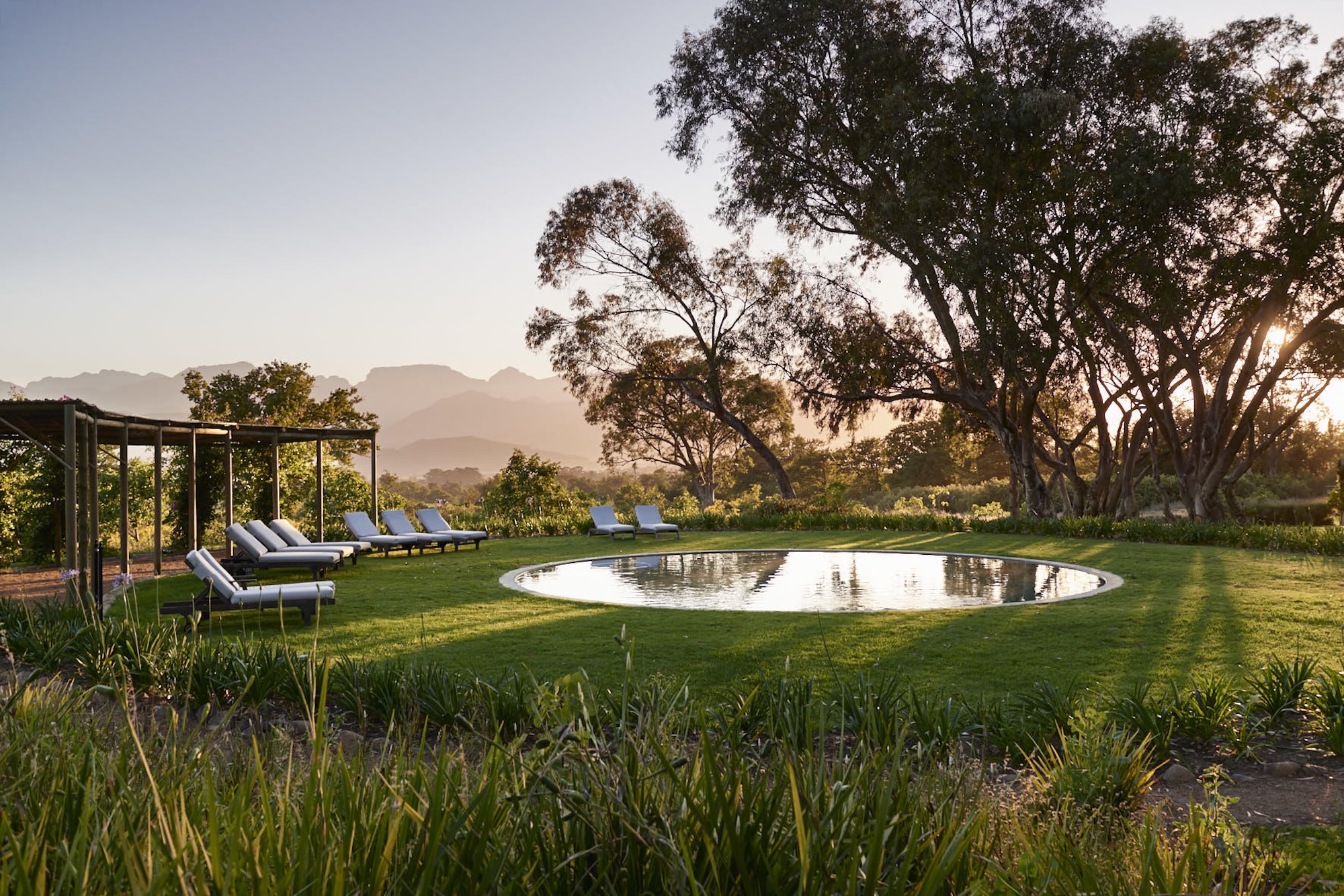 A tranquil circular swimming pool set on manicured lawn, framed by ancient trees and distant mountains, captures the unhurried elegance of a South African honeymoon.
