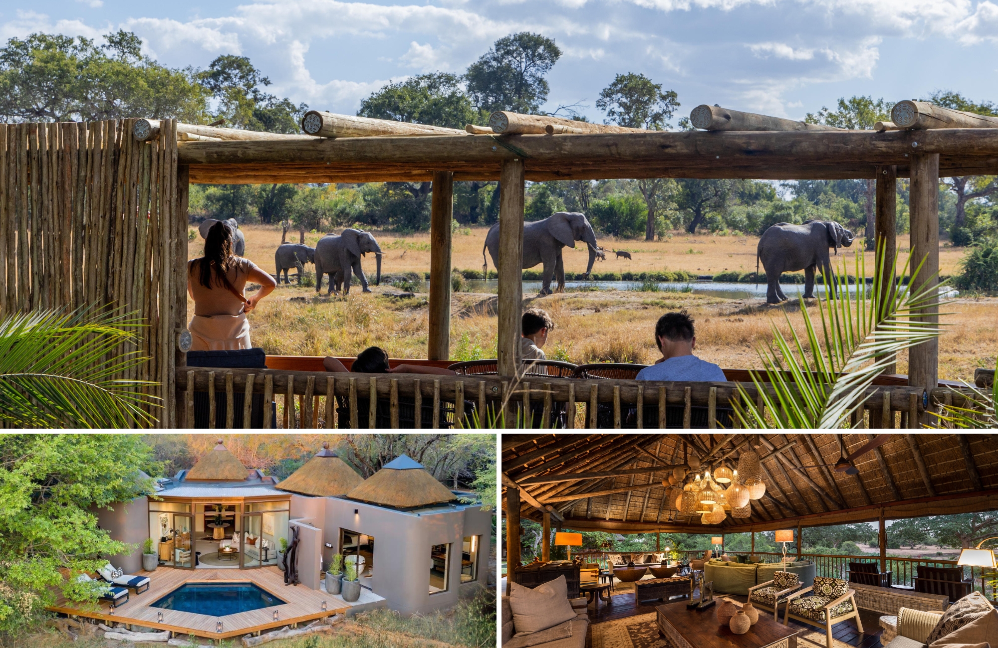 Guests relax in a shaded lodge hide and pool area while elephants gather at a nearby waterhole, capturing the ease and immersion offered by lodges with the best waterholes.