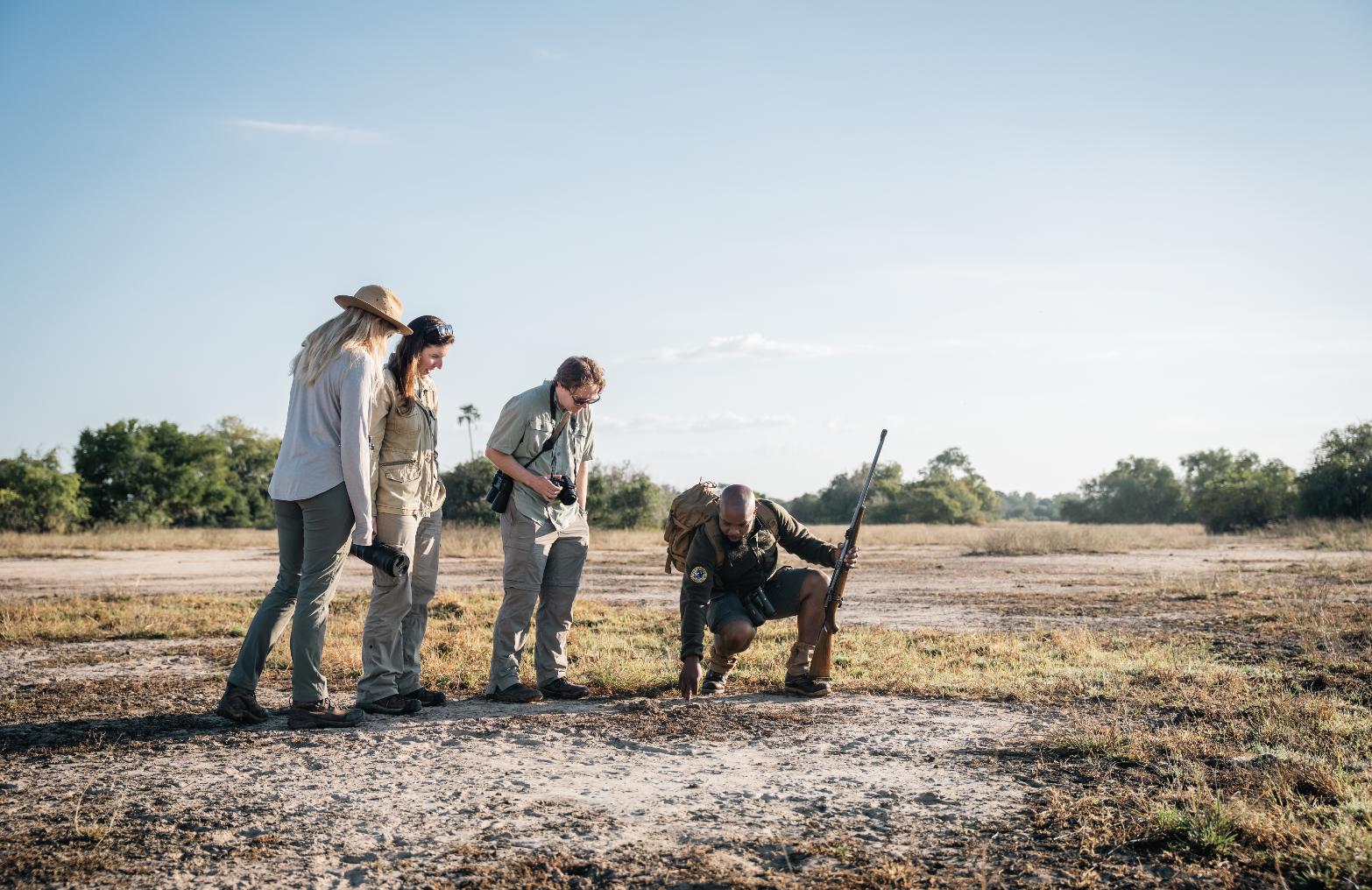 A ranger kneels to examine animal tracks while guests observe closely, highlighting hands-on conservation within destinations for responsible travel.