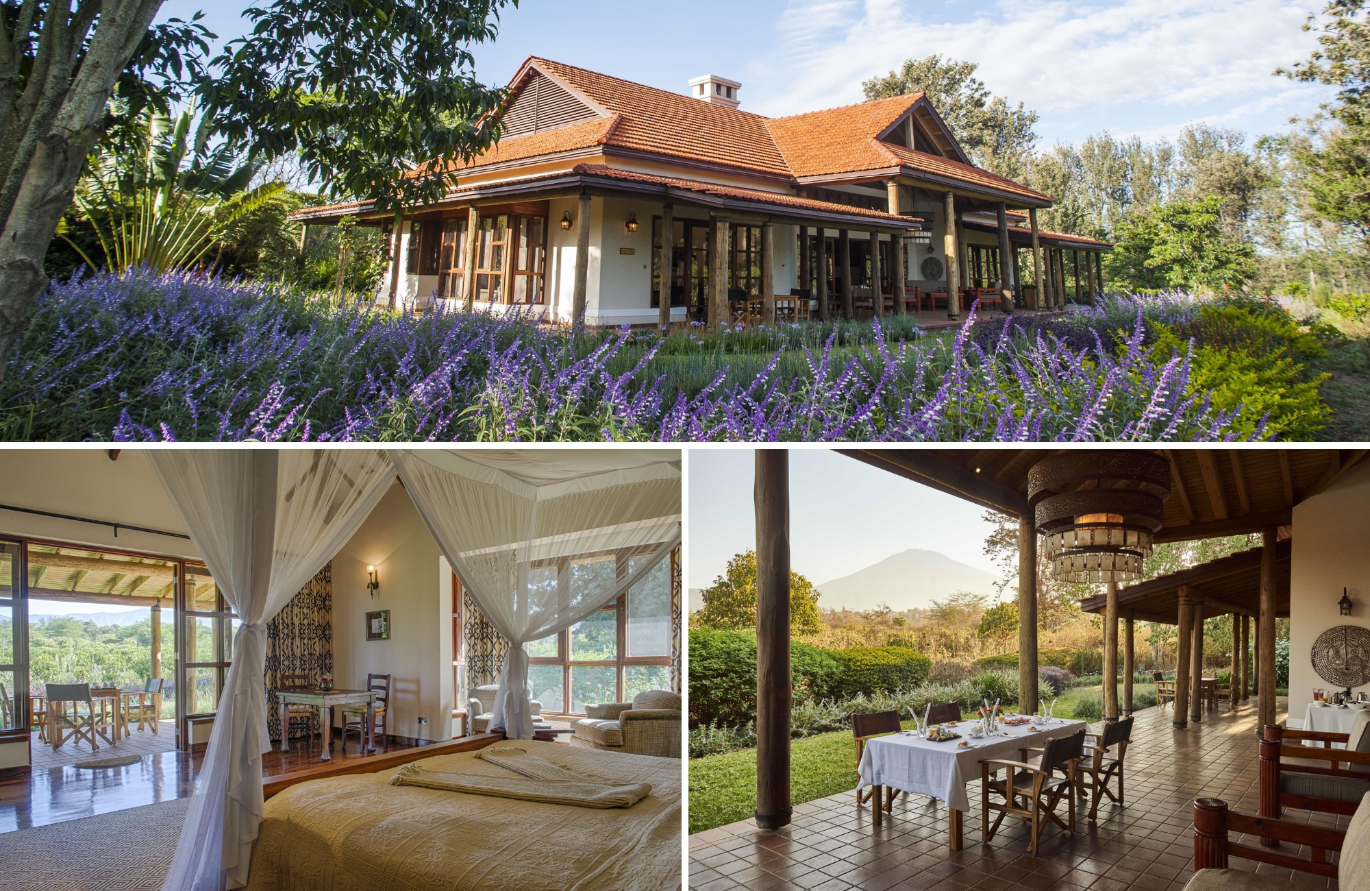 A colonial-style lodge framed by flowering gardens reveals airy four-poster bedrooms and veranda dining with Mount Meru in view, reflecting the refined ease of Luxury safari lodges in Tanzania near Arusha.