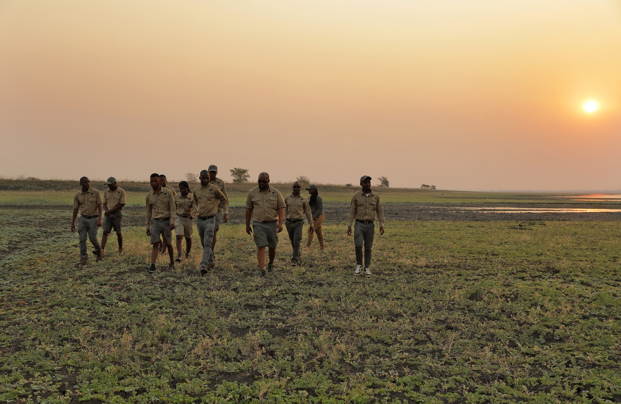 impact-in-gorongosa-national-park-rangers-programme-2 A group of uniformed rangers walk together across open grassland at sunset, embodying the impact in Gorongosa through presence, vigilance, and shared responsibility.