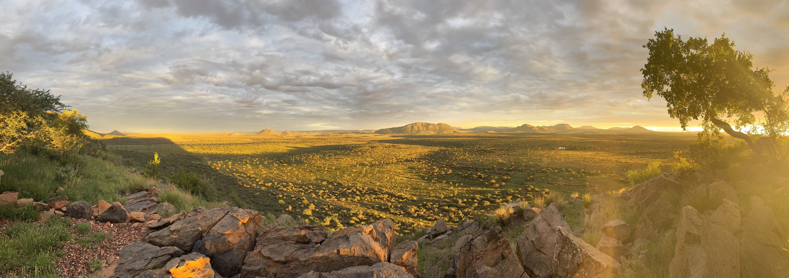 Panoramic golden-hour view from Gmundner of a vast sunlit plain dotted with low shrubs, framed by rocky foreground, distant mountains, dramatic clouds, and a tree glowing in the light.