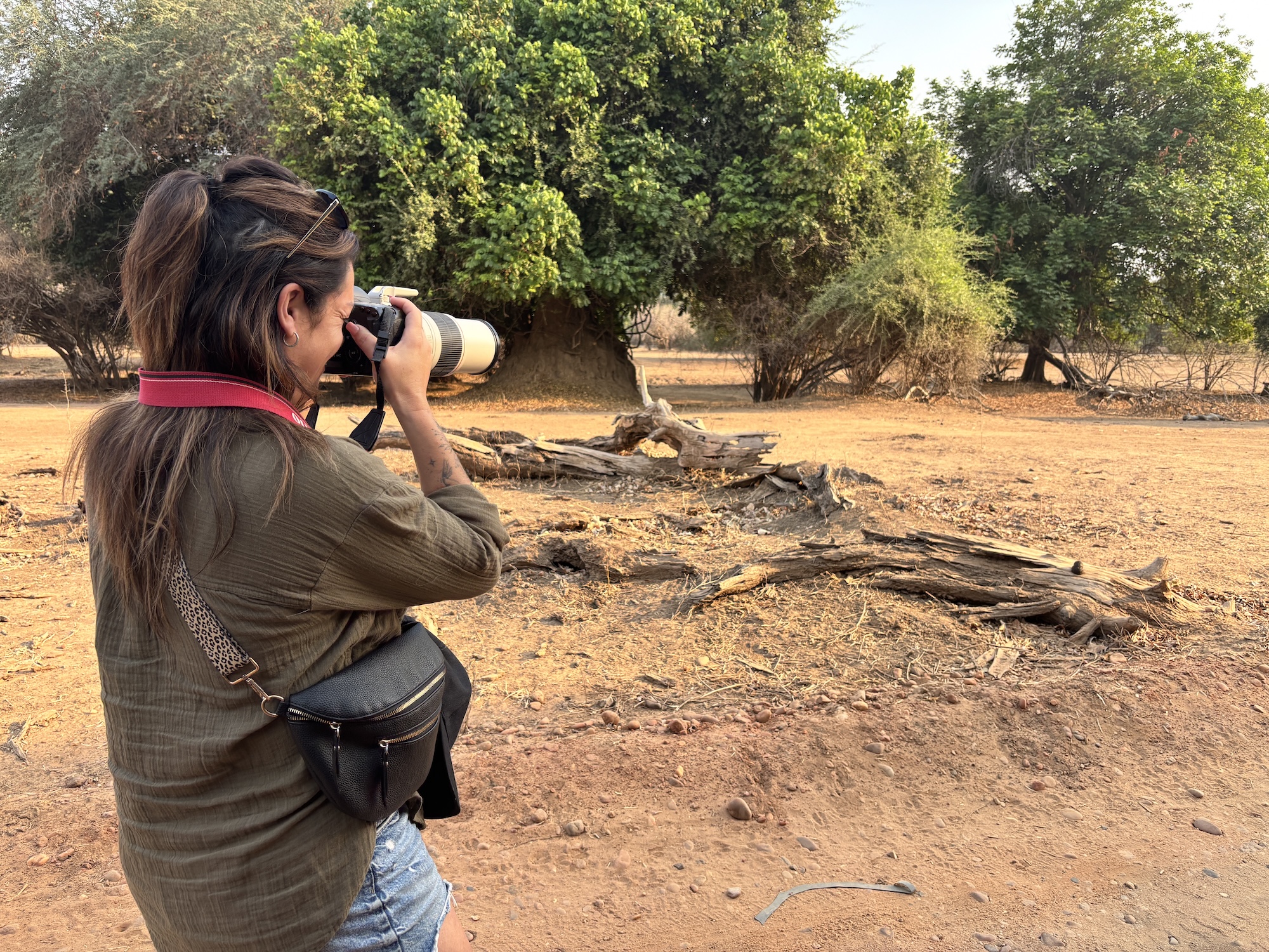 photograhy-walking-safari-zimbabwe Woman taking a photo of wildlife on walking safari