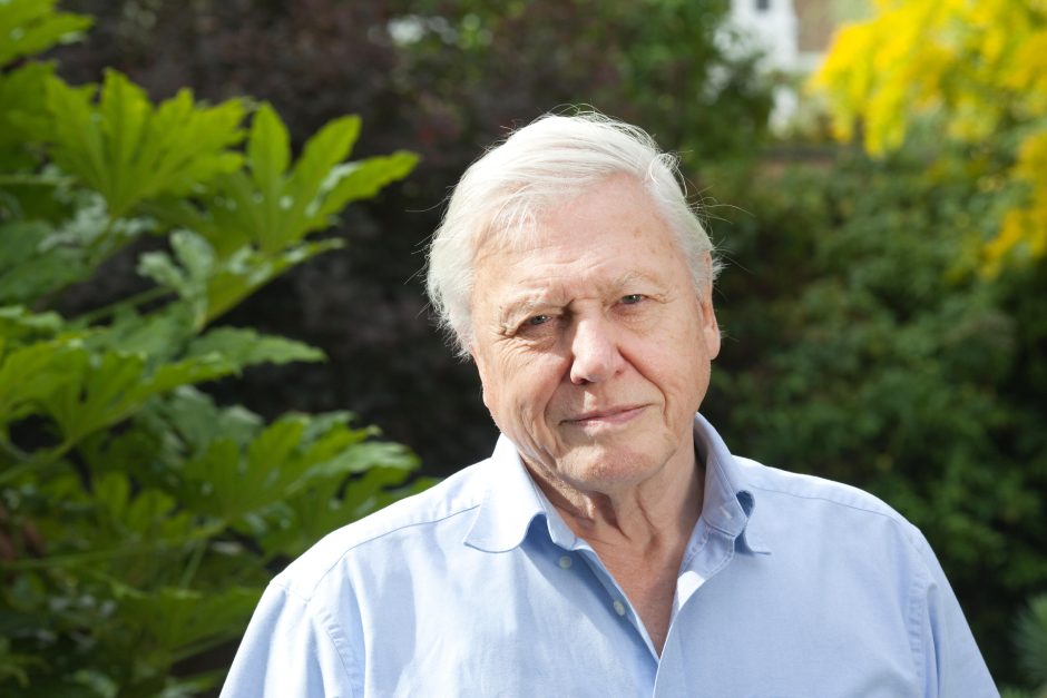 Sir David Attenborough, English broadcaster and naturalist, at his home in Richmond, Borough of Richmond upon Thames, England UK