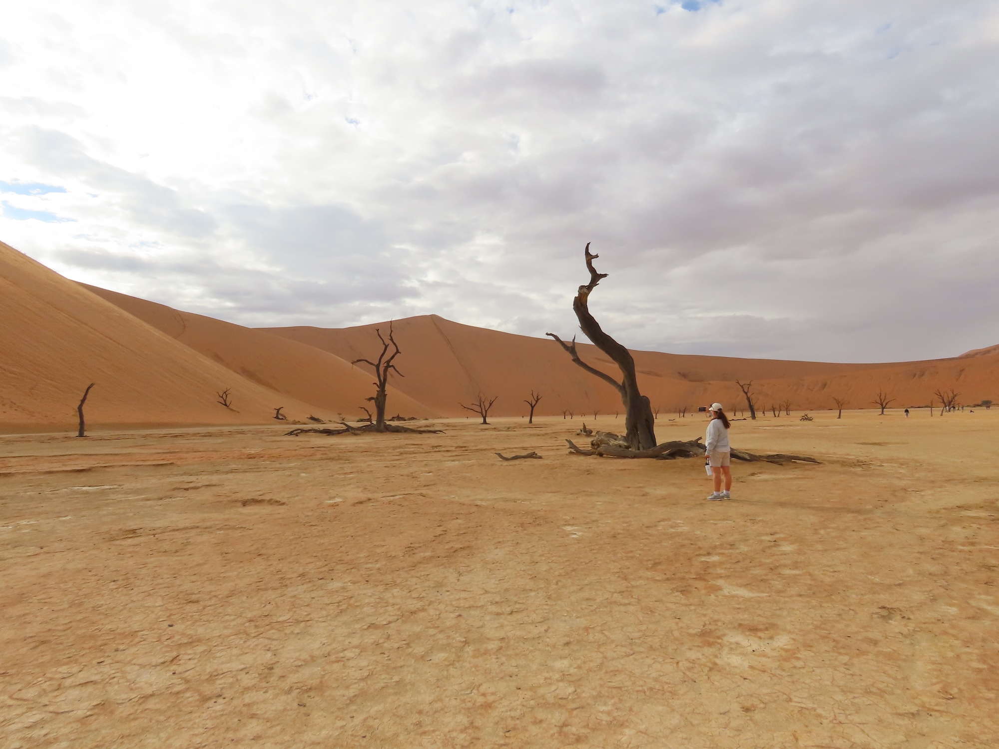 A traveller stands among dead camelthorn trees and red dunes in Sossusvlei, one of the best places to visit on a Namibia safari