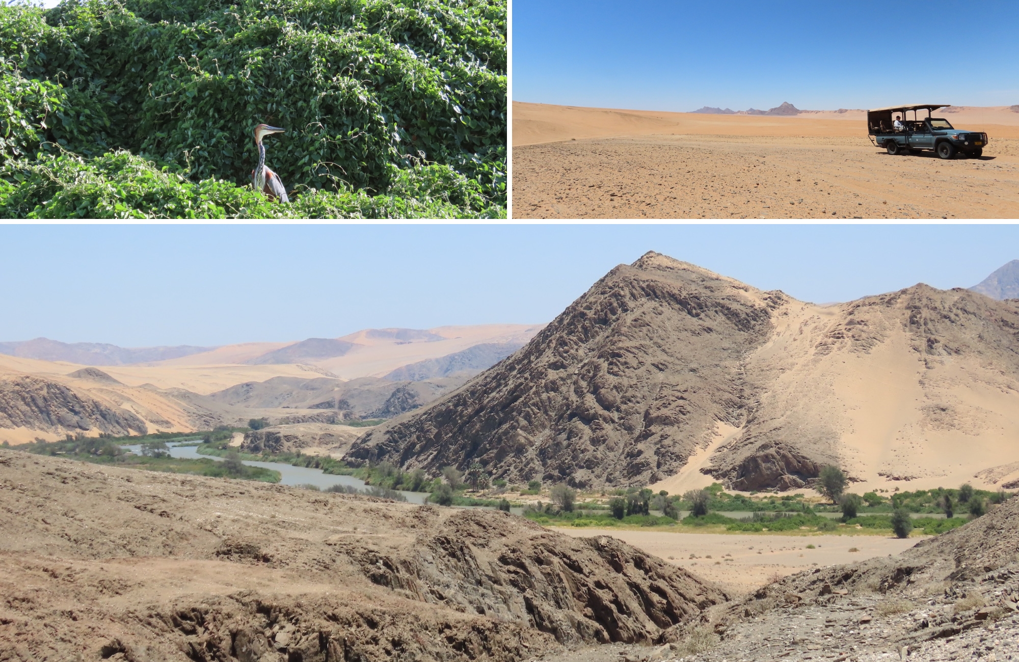 Lush riverbank against desert mountains and dunes near Serra Cafema in the Hartmann Valley, Namibia.