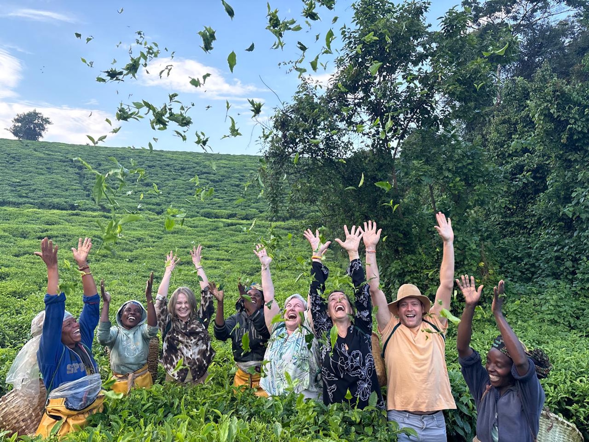 A group of people throwing leaves into the air on a Rwanda safari