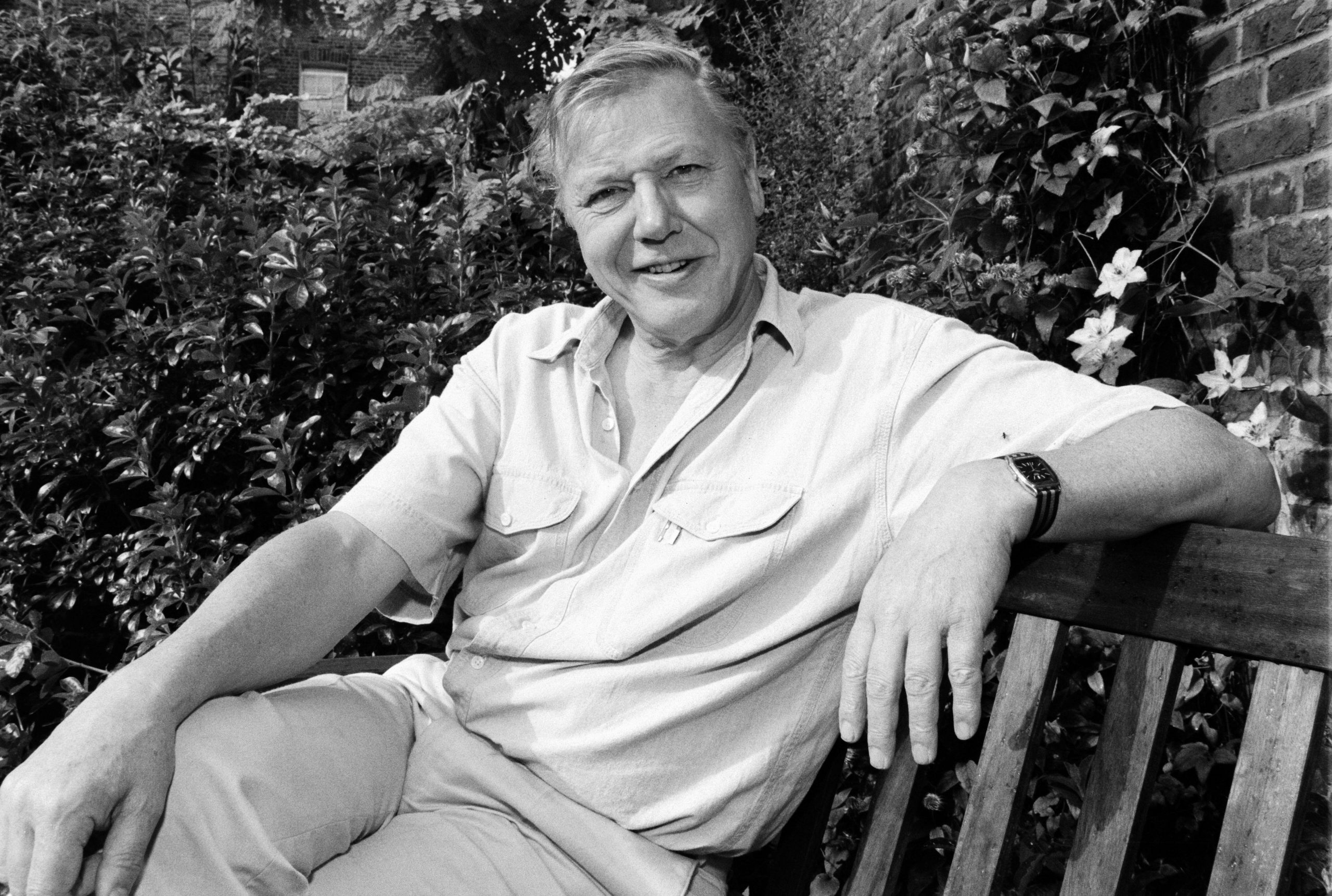 David Attenborough portrait at his home in Richmond, Surrey