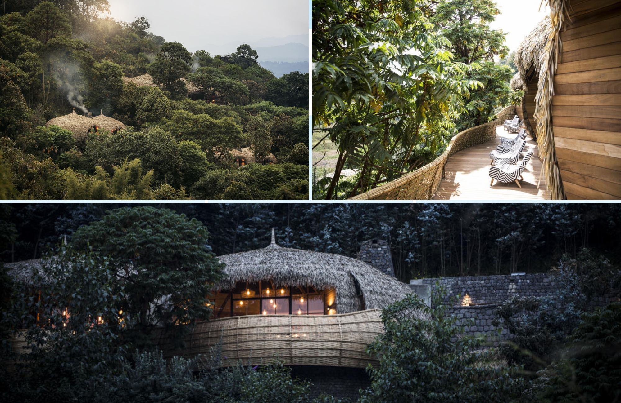 Thatched forest villas and elevated walkways at Bisate Lodge in Rwanda’s Volcanoes National Park