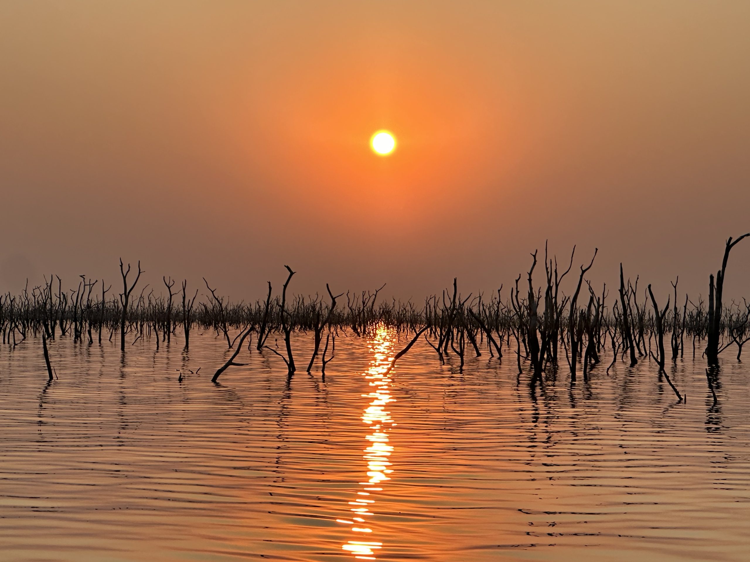 Sunset over Lake Kariba, with bare tree silhouettes reflected in the water.