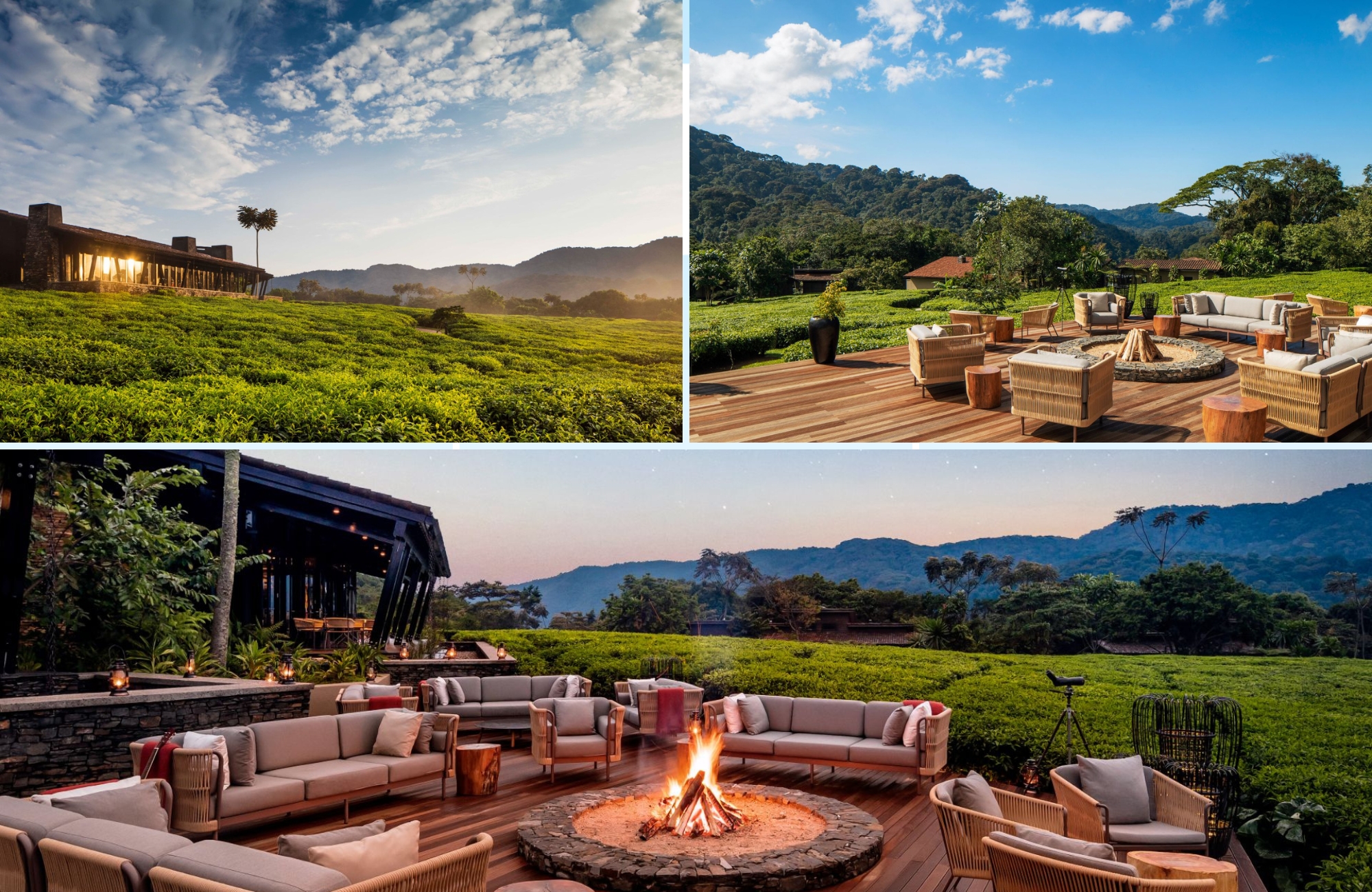 One&Only Nyungwe House surrounded by tea plantations and rainforest in Nyungwe National Park