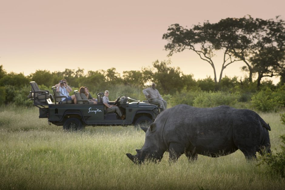 Singita guests on a game drive in Kruger National Park watch and photograph a rhinoceros grazing in the grass at sunset.