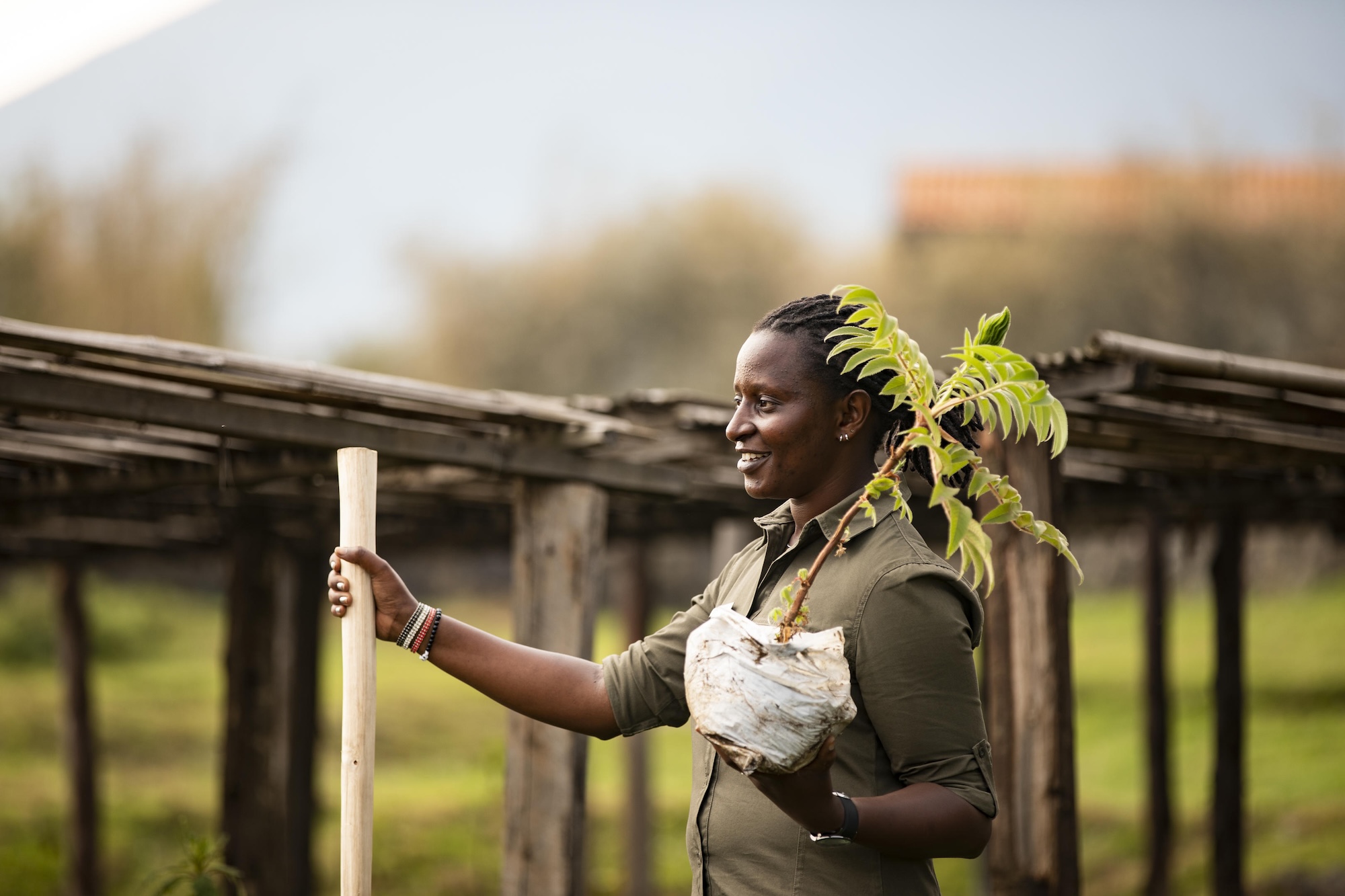 A woman holds a plant in an agriculutral field in Rwanda