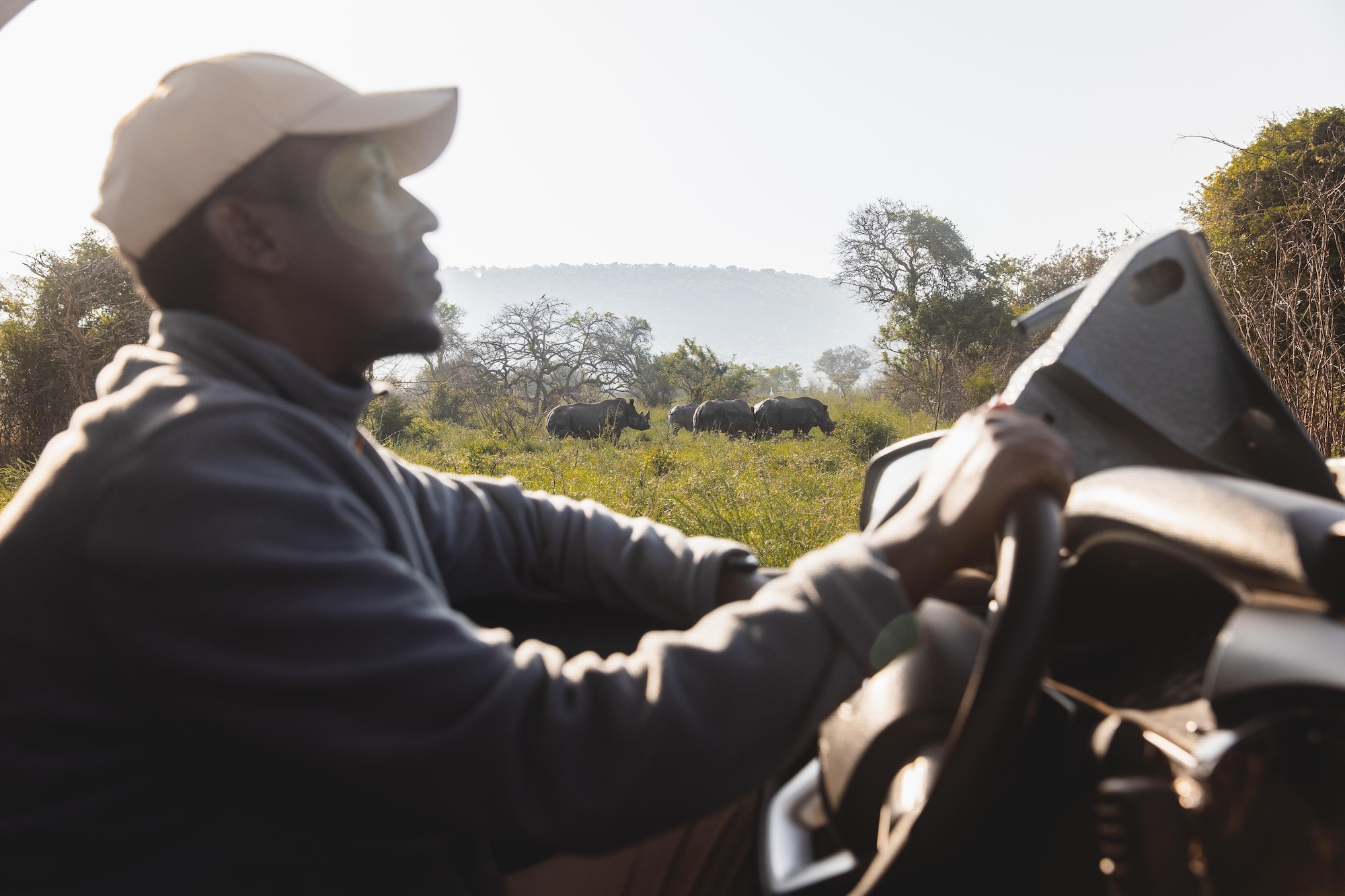 A ranger on a game drive in Rwanda safari spots a crash of rhino